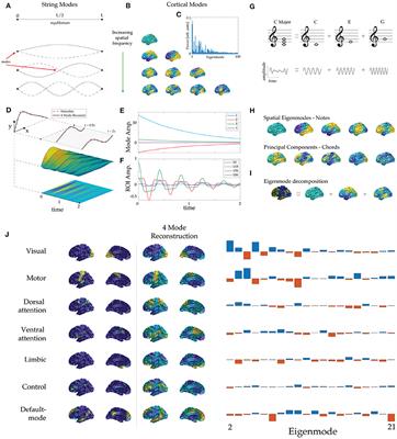 The music of the hemispheres: Cortical eigenmodes as a physical basis for large-scale brain activity and connectivity patterns